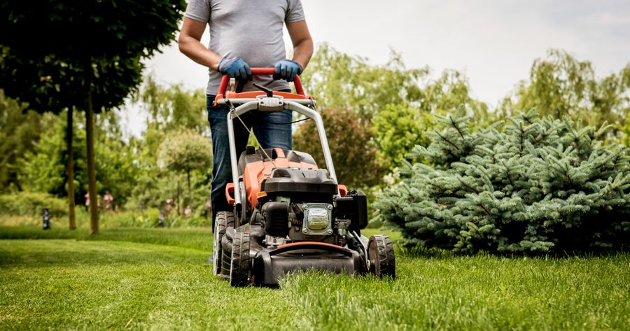Lawn and Landscaping Service Costs: How Much Should You Expect to Pay?
