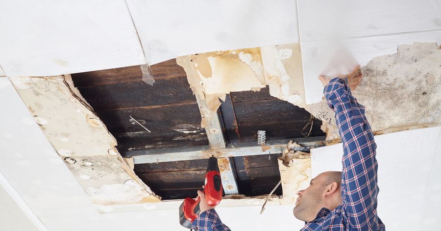 Water Damage Repair Costs: How Much Will You Have to Spend?